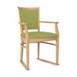 Ardenne Dining Chair in Fennel Faux Leather