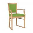 Ardenne Dining Chair in Vine Faux Leather