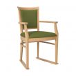 Ardenne Dining Chair in Zest Wasabi Vinyl