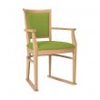 Ardenne Dining Chair in Zest Apple Vinyl