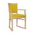Ardenne Dining Chair in Zest Citrus Vinyl