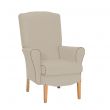 Dunbridge High Back Armchair (Straight Leg) in Entwine Stone with Zest Cobble Piping - Driftwood Legs