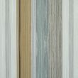 Fresco 253 Cardamom