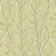 Nature Pistachio