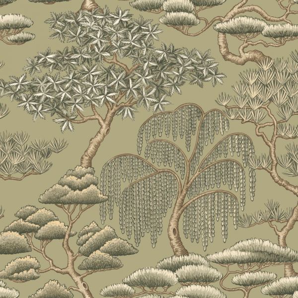 Matsu Olive