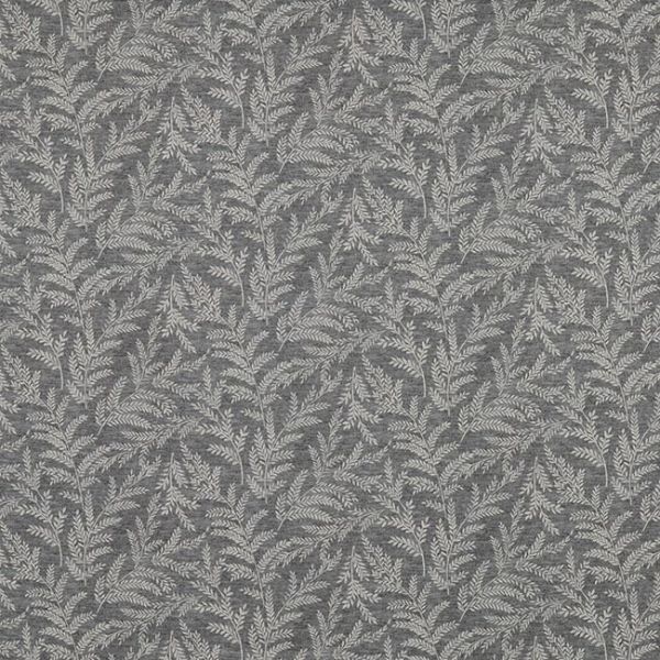 Zinnia Graphite