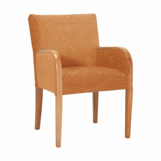 Alton Tub Chair in Darcy Spice Soft Feel Fabric