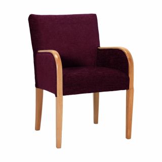 Alton Tub Chair in Darcy Berry Soft Feel Fabric