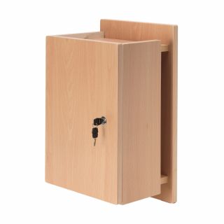 Medicine Cabinet with File Storage in Beech