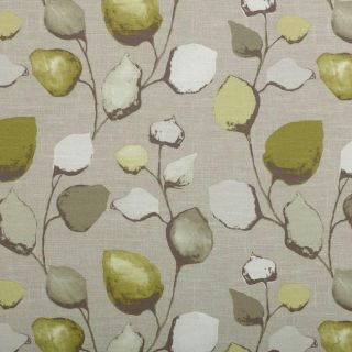 Eden 239 Olive Stone