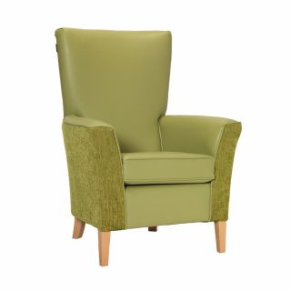 Linwood Chair in Edison Fennel & Darcy Lime