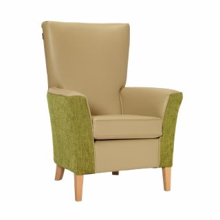 Linwood Chair in Edison Latte & Darcy Lime