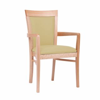Padbury Dining Chair in Zest Hay Vinyl