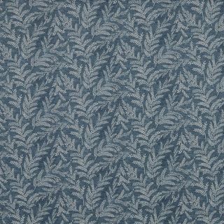 Zinnia Denim
