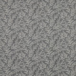 Zinnia Graphite