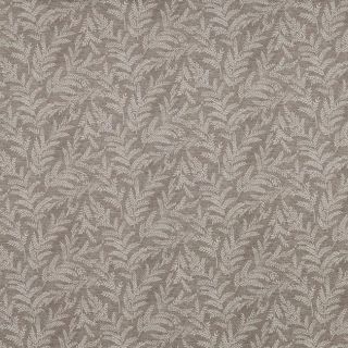 Zinnia Taupe