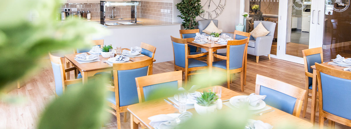 Care Home Dining Chairs | Dayex | Edison & Day